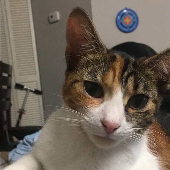 Meet your Posher, Mohammed - Picture 1 of 1